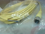  Brad Connectivity 1200650277 Sensor Cordset 4P Female Straight  Factory Sealed Image