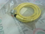  Brad Harrison 704000D02F060 Cordset 4P Female Stright 6" Factory Sealed Image