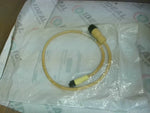  Allen Bradley 889D-F4AENM-0M6 /B QD Cordset 4P Male/Female Straight Factory Sealed Image
