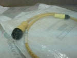  Allen Bradley 889D-F4AENM-0M6 /B QD Cordset 4P Male/Female Straight Factory Sealed Image