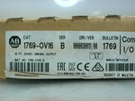  Allen Bradley 1769-OV16 /B  Sinking Output Module 16PT 24VDC Image