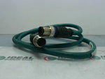  TURCK RSS RSS 843-1M Double Ended Ethernet Cable Image