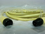  Allen Bradley 889D-F4ACDM-5 /B Cordset Stright 4 Pin Male & Fem Image