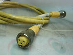  Turck RYM RKM 36-3M Cordset 3 Pin Stright Male/Female 3M Image