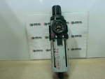  ARO P39334-604 2000 Series Air Filter/Regulator 1/2" NPT Standa Image