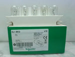  Schneider DL1 BEG Incandescent Bulb 120V 7W (10 PCS) Image