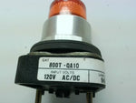  Allen Bradley 800T-QA10A /T  Amber Pilot Light Push Button 120V Image