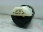  Leviton 7545-C Locking Plug Polarized 15A 125V Image