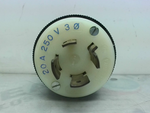  Hubbell 2421 InsulGrip Twist-Lock Receptacle 3P 4 Wire  20A 250 Image