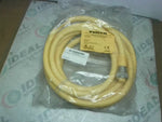  Turck RKM 66-4M Minifast Cordset 6 Pin Female Straight 4M U5138 Factory Sealed Image