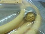  Turck RKM 66-4M Minifast Cordset 6 Pin Female Straight 4M U5138 Factory Sealed Image