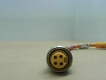  Turck RSM RKM 47-0.3M Double Ended Cordset Adapter Cable Factory Sealed Image