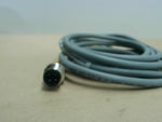  Turck RK 4.4T-2.5-RS 4.4T Euro Fast Cordset Image