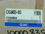  SMC CXSJM20-100 Compact Dual Rod Slide Bearing Cylinder Image