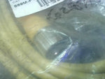  Allen Bradley 889M-F12AH-5 Cordset 12-Pin Female/Straight 5M 18 Image