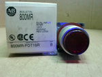  Allen Bradley 800MR-PDT16R Dual Input 120V 60/50HZ Red Lens Image