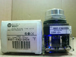  Allen Bradley 800T-FXQ10XD4 Push/Pull Button Series T Image