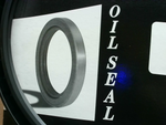  Dichtomatik 250X280X15TC-BX Oil Seal Image