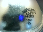  Wagner 4019 Left Lamp Turn Signal 6V 30W Image