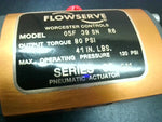  Flowserve 05F 39 SN R6 Pneumatic Actuator Series 39 Image