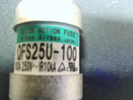  Nihon Airpax QFS25U-100 Quick Action Fuse 100A 250V Image