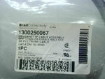  Brad Connectivity 1300250067 DN11-M030 DeviceNet Cable Assembly 3M Length Mini Change Female Male STR 3M PVC Trunk Cable A-M030 Image