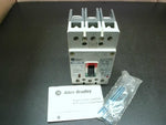  Allen Bradley 140M-H8P-D10 Circuit Breaker 100A/600V 65kA 3-Pole H-Frame Image