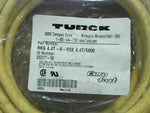  Turck RKG 4.4T-6-RSE 4.4T/S600 Double Ended Cord Set 250V 4A Image