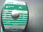  Asco 8262H261 24V Red-Hat 1/4"NPT 2-Way Solenoid Valve 24V Image