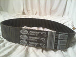  Gates 8008MGT50 Timing Belt Image