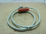  Allen Bradley 1492-CABLE010D Series C 1.0M Module Pre- Wired Digital I/O Cable Image