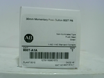  ALLEN BRADLEY 800TA1A BUTTON Image