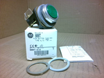  ALLEN BRADLEY 800TA1A BUTTON Image