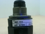  Allen Bradley 800T-PA16 Push Button Some With Gaurd Some WIthout 120V 50/60HZ Image