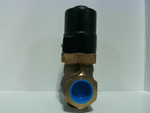  MAGNATROL 18A25W VALVE Image