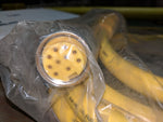  TURCK RSMRKM1063MS3059 Minifast Cordset Image
