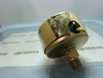  WIKA 9318070 Brass Liquid Filled 0-30in Gg Vacuum Gauge 1/4NPT Image