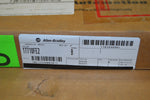  Allen Bradley 1771-OFE2 PLC-5  Analog Output Module  (12 Bit Current Outputs ) Image