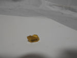  KENNAMETAL NTP2R INSERT Image