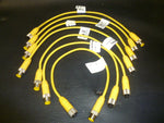  LUMBERG RST3RKT43S79703M CABLE Image