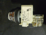Square D 9001-KT1R6 Push To Test Pilot Light With Red Glass Lens