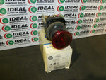  ALLEN BRADLEY 800H-QRM10R Full Voltage Illuminated Push Button Image