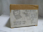  MULBERRY 30387 Image