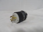  HUBBELL HBL7411C PLUG Image
