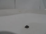  VALENITE TPMK73NVL30 INSERT Image
